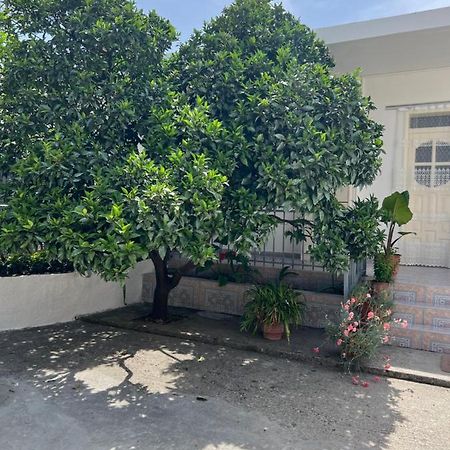 Rooms For Rent Habipi Vlore Exterior photo
