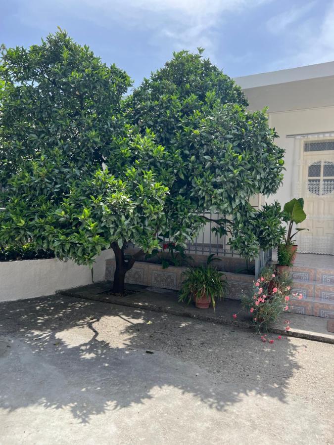 Rooms For Rent Habipi Vlore Exterior photo